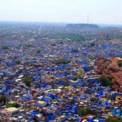 Inde : à la découverte de Jodhpur, cette cité bleue en plein cœur du désert de Thar